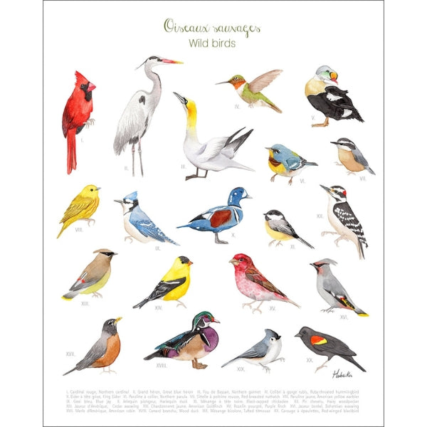 Wild Birds Print | Hobeika Art | boogie + birdie
