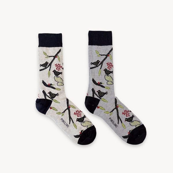 Bird Song Pima Cotton Socks | Pack of 2 | Pokoloko | boogie + birdie