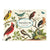 Birds Stationery Set | Cavallini & Co | boogie + birdie
