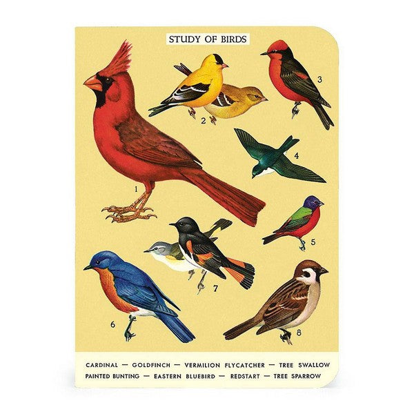 Bird Watching Mini Notebooks Set | Cavallini Paper & Co. | Shop vintage styles and prints at boogie + birdie