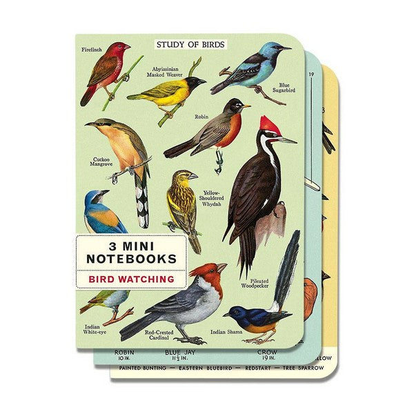 Bird Watching Mini Notebooks Set | Cavallini Paper & Co. | Shop vintage styles and prints at boogie + birdie