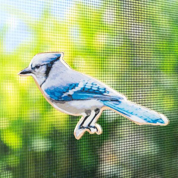 Blue Jay Magnet | Decor | boogie + birdie