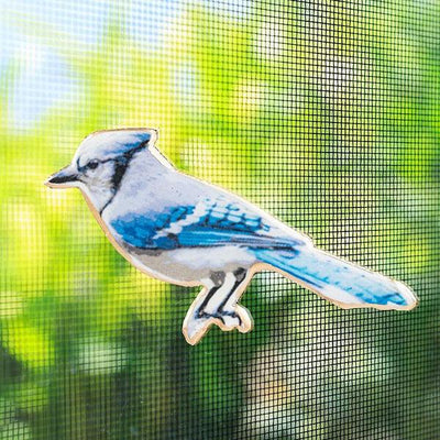 Blue Jay Magnet | Decor | boogie + birdie