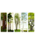 Temple of Trees Bookmarks - Set of 5