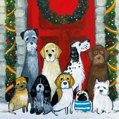 Canine Christmas Boxed Christmas Cards | M&G | boogie + birdie