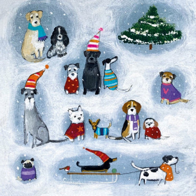 Canine Christmas Boxed Christmas Cards | M&G | boogie + birdie