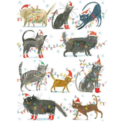Christmas Cats Boxed Christmas Cards | M&G | boogie + birdie