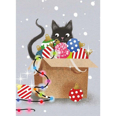 Christmas Cats Boxed Christmas Cards | M&G | boogie + birdie