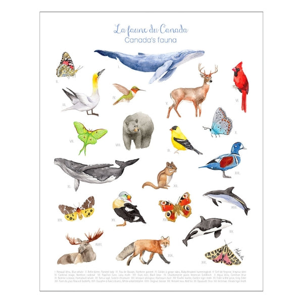 Canada's Fauna Print | Hobeika Art | boogie + birdie