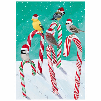 Candy Cane Birds Christmas Card | Allport | boogie + birdie