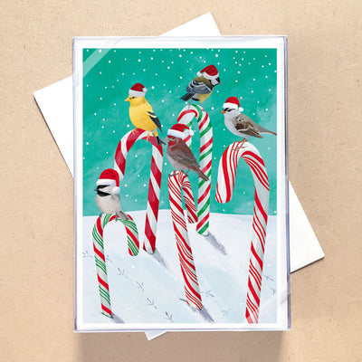 Candy Cane Birds Christmas Card | Allport | boogie + birdie