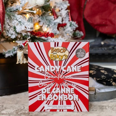 Candy Cane Musical Advent Calendar for Dogs | Pets | boogie + birdie