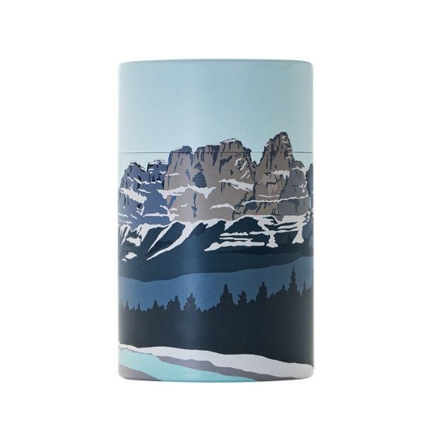 Castle Mountain Pint Glass | MTNPK Glassware | boogie + birdie