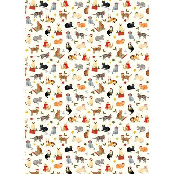 Cats Christmas Gift Wrap | Art File | boogie + birdie