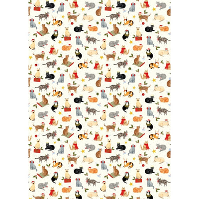 Cats Christmas Gift Wrap | Art File | boogie + birdie