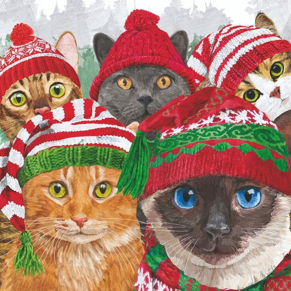 Cat Selfie Beverage Napkins | PPD | boogie + birdie