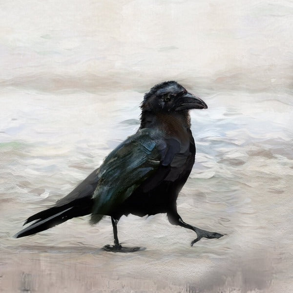 Crows Walking Marble Coaster (MC3026) | Cedar Mountain | boogie + birdie