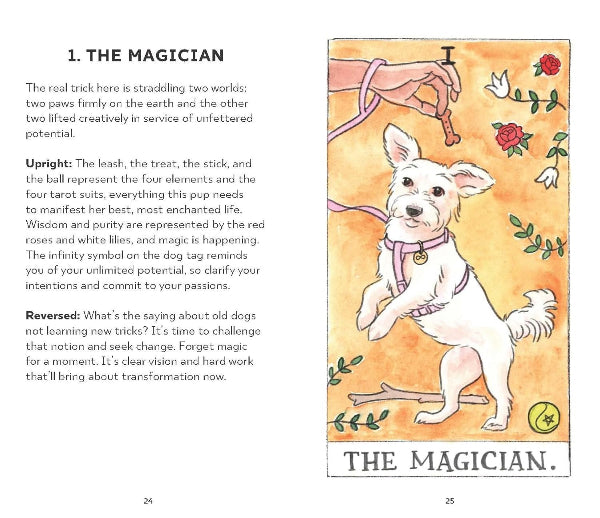 Dog Tarot Deck | Raincoast Books | boogie + birdie