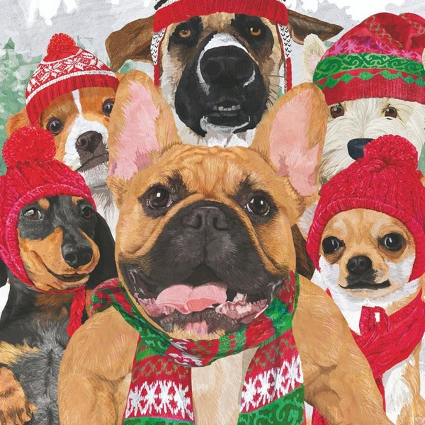 Dog Selfie Beverage Napkins | PPD | boogie + birdie