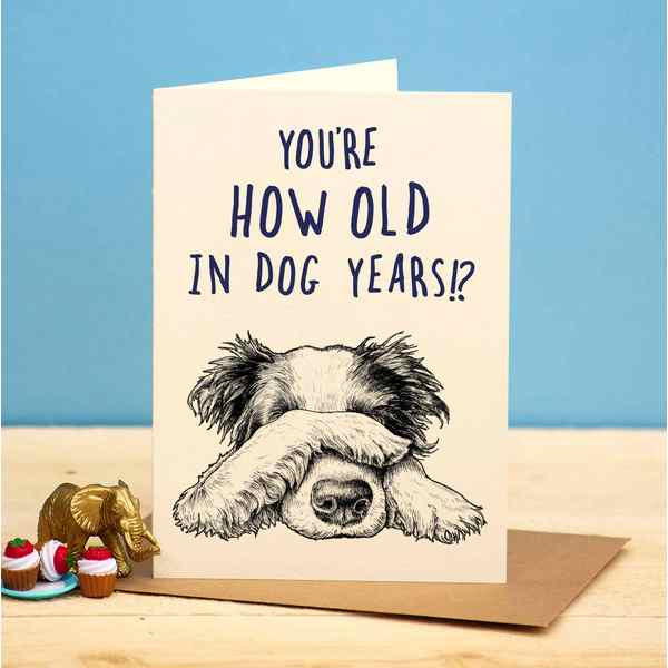 Dog Years Birthday Card (B05) | Bewilderbeest | boogie + birdie