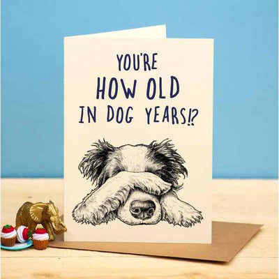 Dog Years Birthday Card (B05) | Bewilderbeest | boogie + birdie
