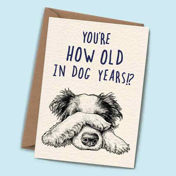 Dog Years Birthday Card (B05) | Bewilderbeest | boogie + birdie
