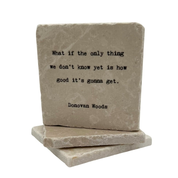 What If the Only Marble Coaster (MC1224) | Cedar Mountain | boogie + birdie