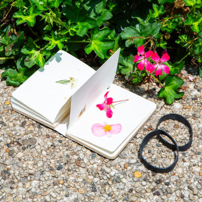 Field Flower Press | Kikkerland | boogie + birdie