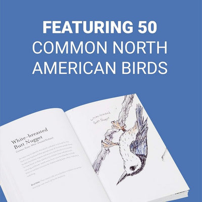 The Field Guide To Dumb Birds Of North America | Matt Kracht | boogie + birdie