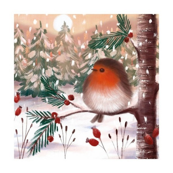 Fluffy Robin Boxed Christmas Cards (209) | Holiday Cards | boogie + birdie