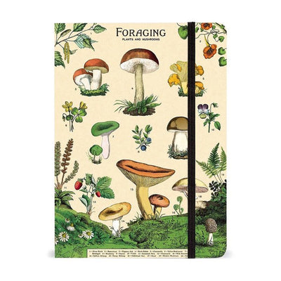 Foraging Large Notebook | Cavallini Paper & Co. | Shop vintage styles and prints at boogie + birdie