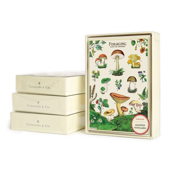Foraging Boxed Notecards | Cavallini Paper & Co. | Shop vintage styles and prints at boogie + birdie