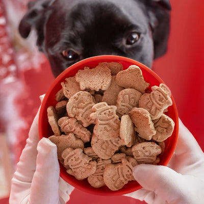 Frost Bites Dog Treats | Pets | boogie + birdie