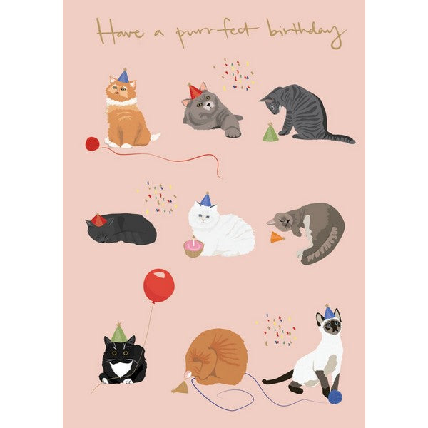 Have A Purrfect Birthday Card | Roger La Borde | boogie + birdie
