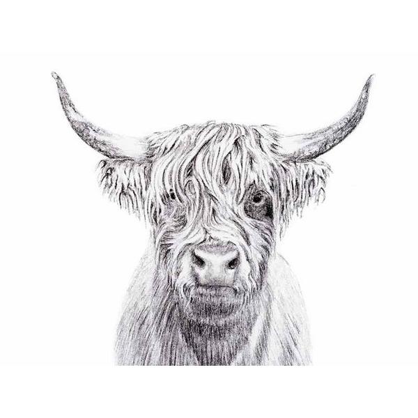 Highland Cow Print 8x10 | Le Nid Atelier | boogie + birdie