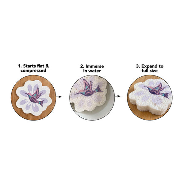 Hummingbird (Nenookaasi) Eco Sponge | Native Northwest | boogie + birdie