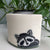 Raccoon Short Vase | Susan Robertson Pottery | boogie + birdie