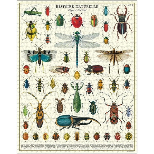 Bugs & Insects 1000 Piece Puzzle | Cavallini | boogie + birdie