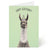 Llama Birthday Card | Oliver Stockley | boogie + birdie