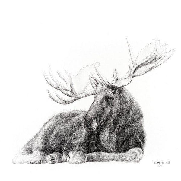 Moose Art Card | Le Nid Atelier | boogie + birdie