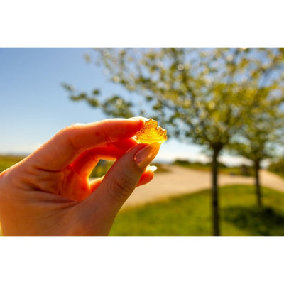 Oh Canada! Maple Gummies | Herbaland | boogie + birdie