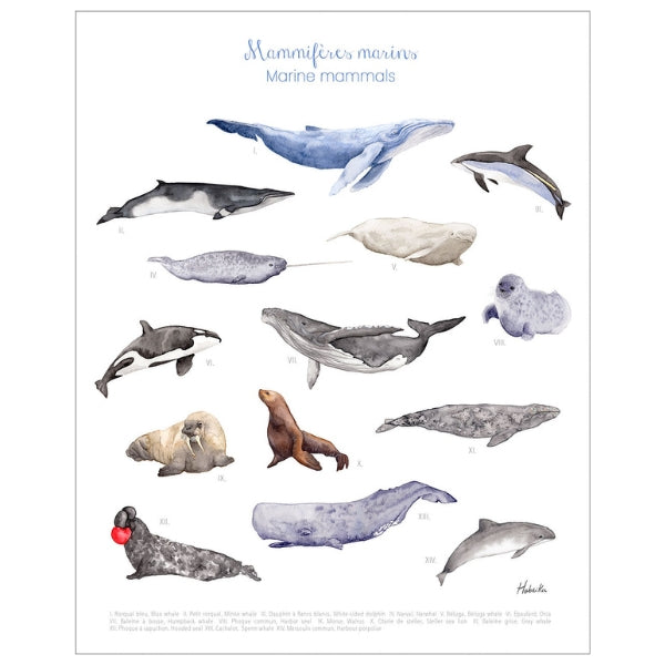 Canada's Fauna Print | Hobeika Art | boogie + birdie