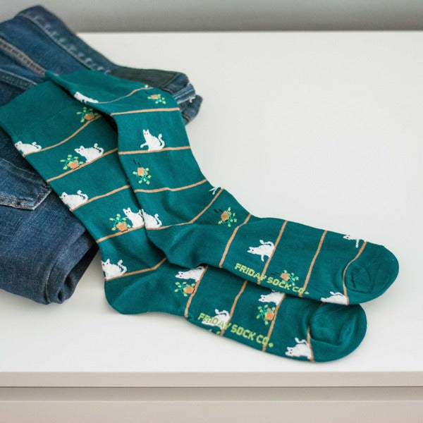 Men's Cat & Plant Socks | Friday Sock Co. | boogie + birdie