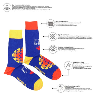 Men's Retro CBC Radio Socks | Friday Sock Co. | boogie + birdie