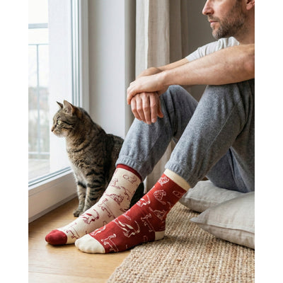Men's Cats Charity Socks | Friday Sock Co. | boogie + birdie