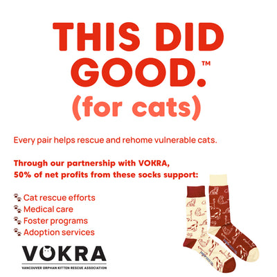 Men's Cats Charity Socks | Friday Sock Co. | boogie + birdie