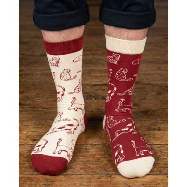 Men's Cats Charity Socks | Friday Sock Co. | boogie + birdie