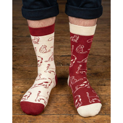 Men's Cats Charity Socks | Friday Sock Co. | boogie + birdie