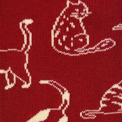 Men's Cats Charity Socks | Friday Sock Co. | boogie + birdie