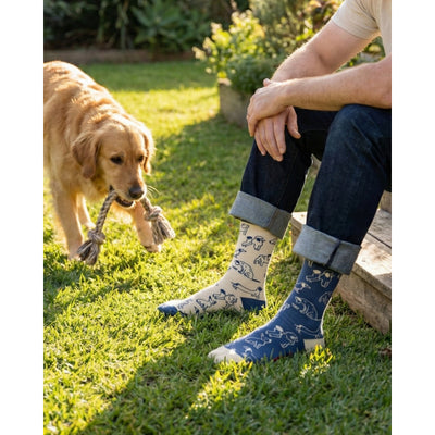 Men's Dogs Charity Socks | Friday Sock Co. | boogie + birdie